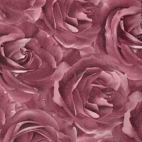Роза фиолет